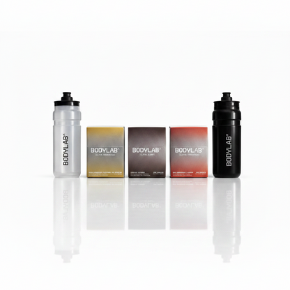 THE X  SYSTEM BUNDLE